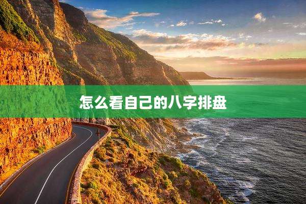 怎么看自己的八字排盘