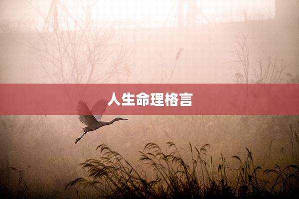 人生命理格言