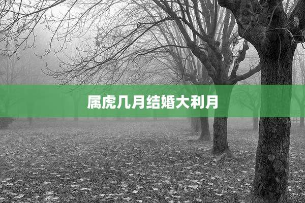 属虎几月结婚大利月