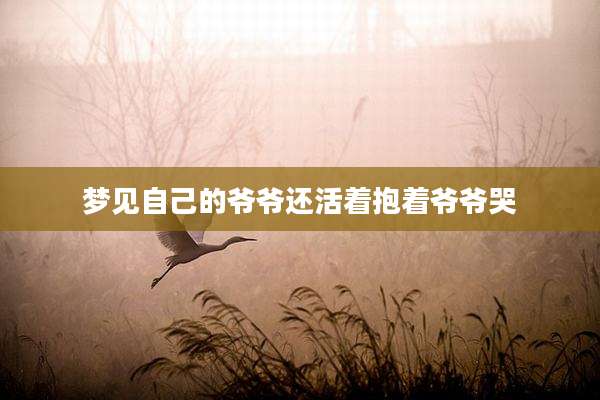 梦见自己的爷爷还活着抱着爷爷哭