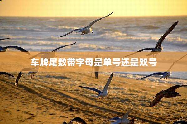 车牌尾数带字母是单号还是双号