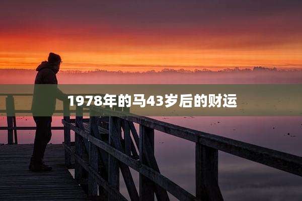 1978年的马43岁后的财运