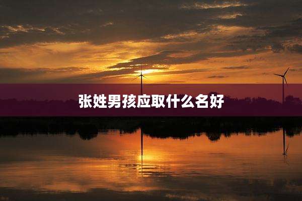 张姓男孩应取什么名好