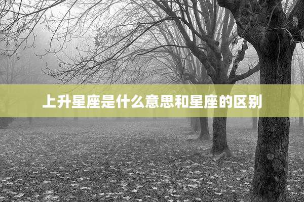 上升星座是什么意思和星座的区别