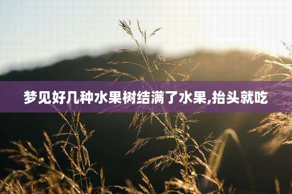 梦见好几种水果树结满了水果,抬头就吃
