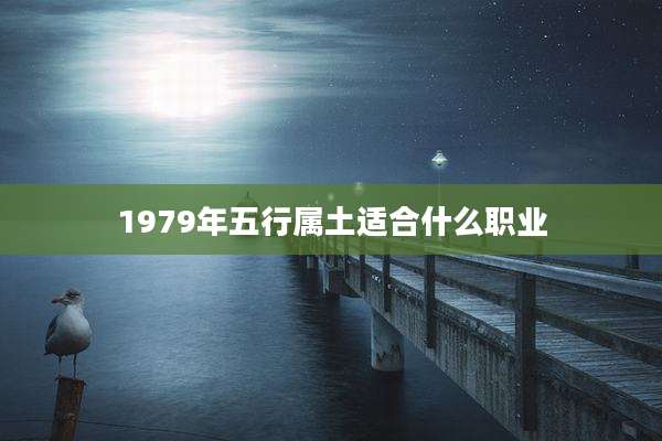 1979年五行属土适合什么职业