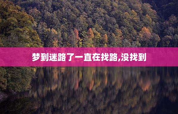 梦到迷路了一直在找路,没找到
