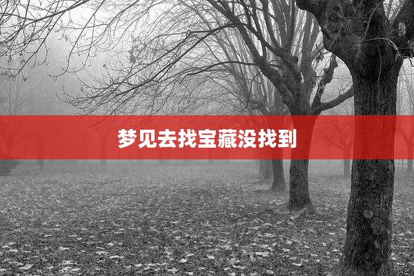 梦见去找宝藏没找到