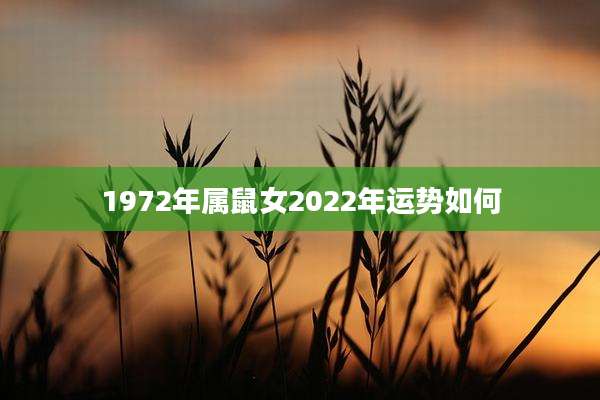 1972年属鼠女2022年运势如何