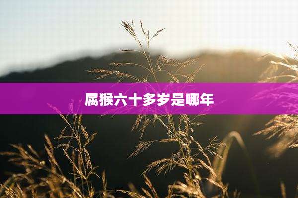 属猴六十多岁是哪年