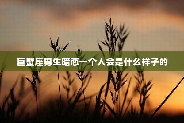 巨蟹座男生暗恋一个人会是什么样子的