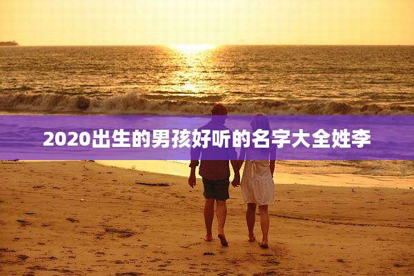 2020出生的男孩好听的名字大全姓李