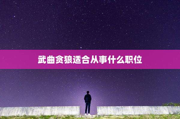 武曲贪狼适合从事什么职位