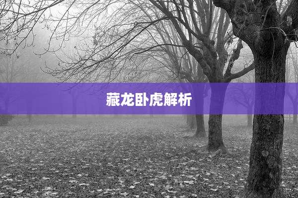 藏龙卧虎解析