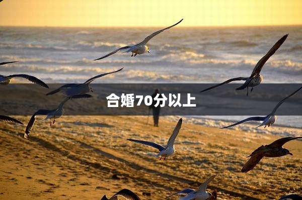 合婚70分以上