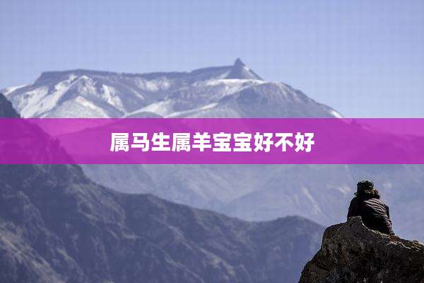 属马生属羊宝宝好不好