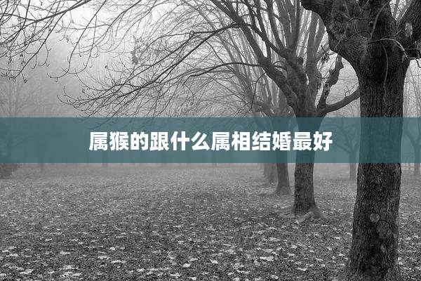属猴的跟什么属相结婚最好