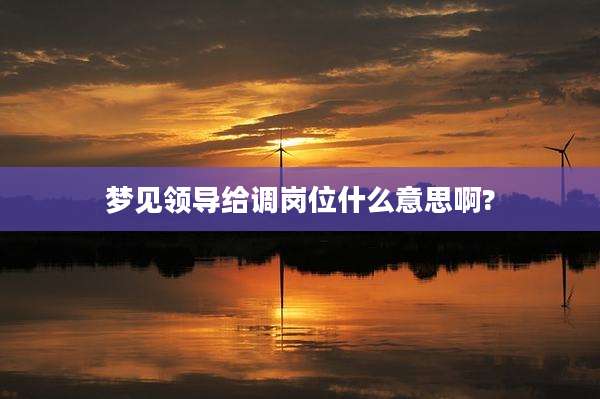 梦见领导给调岗位什么意思啊?
