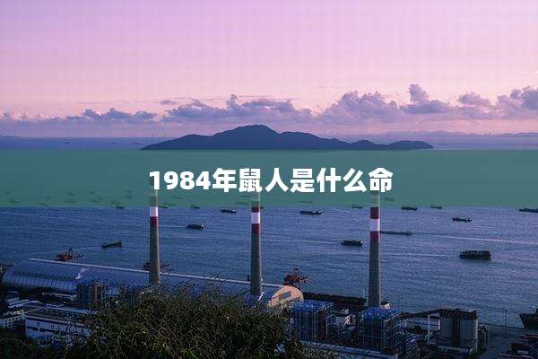 1984年鼠人是什么命