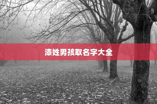 漆姓男孩取名字大全