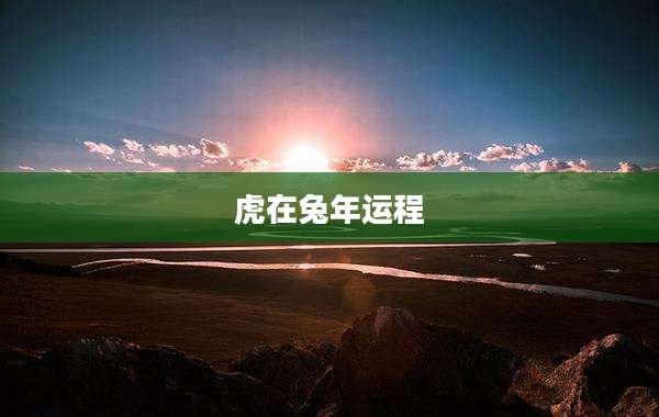 虎在兔年运程