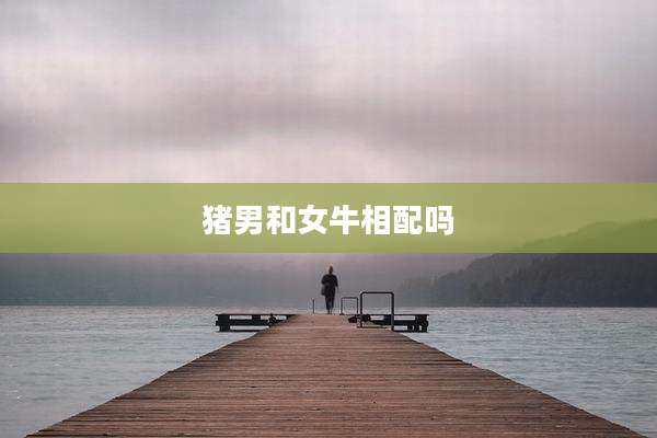 猪男和女牛相配吗
