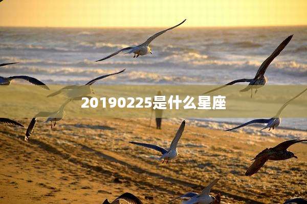 20190225是什么星座