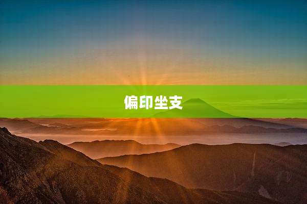 偏印坐支