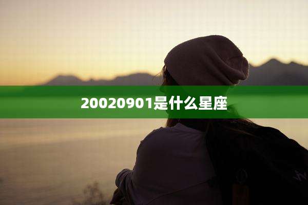 20020901是什么星座