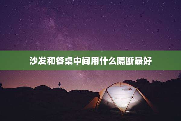 沙发和餐桌中间用什么隔断最好