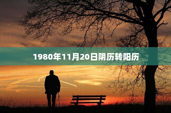 1980年11月20日阴历转阳历