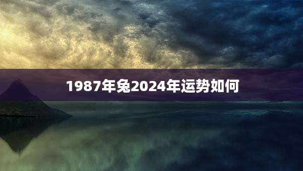 1987年兔2024年运势如何