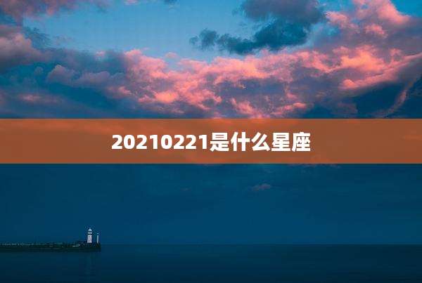 20210221是什么星座