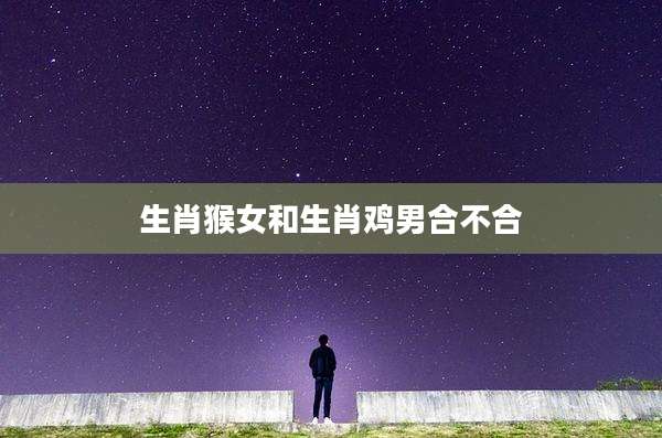 生肖猴女和生肖鸡男合不合