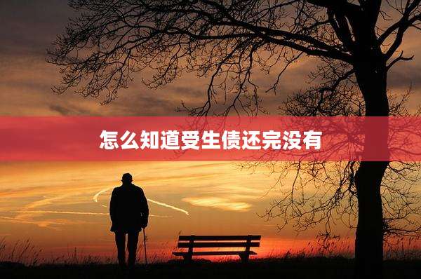怎么知道受生债还完没有