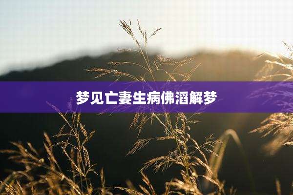 梦见亡妻生病佛滔解梦