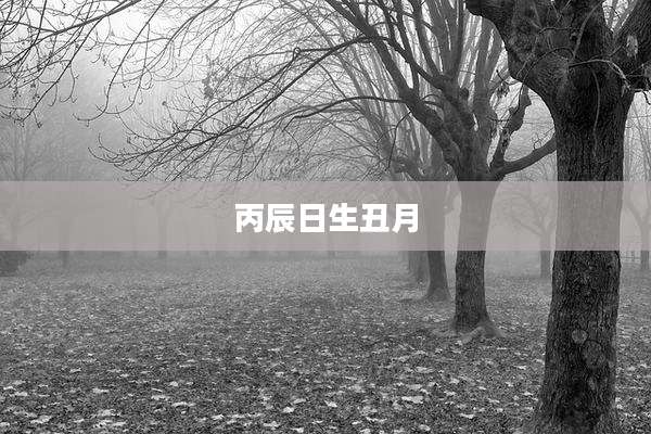 丙辰日生丑月