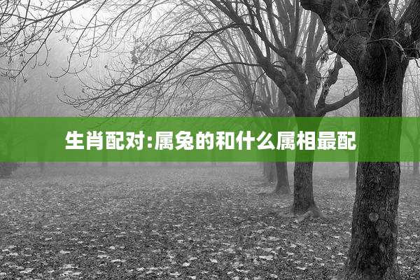 生肖配对:属兔的和什么属相最配
