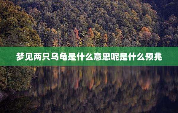 梦见两只乌龟是什么意思呢是什么预兆