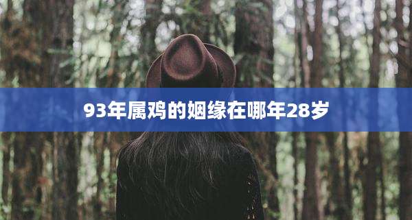 93年属鸡的姻缘在哪年28岁