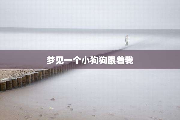 梦见一个小狗狗跟着我