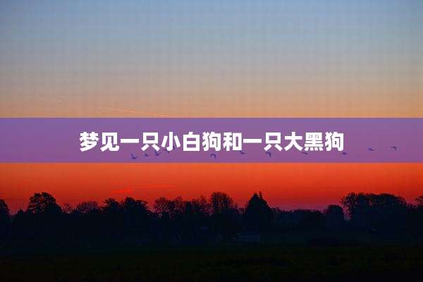 梦见一只小白狗和一只大黑狗