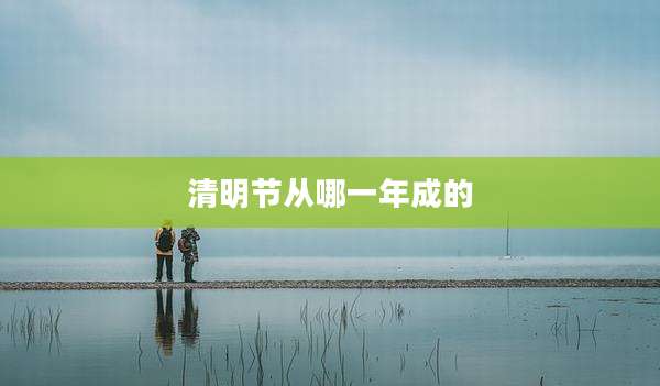 清明节从哪一年成的