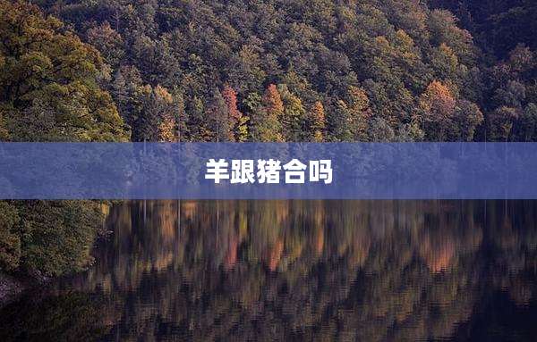 羊跟猪合吗