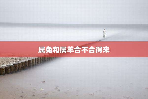 属兔和属羊合不合得来