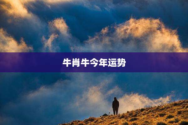 牛肖牛今年运势