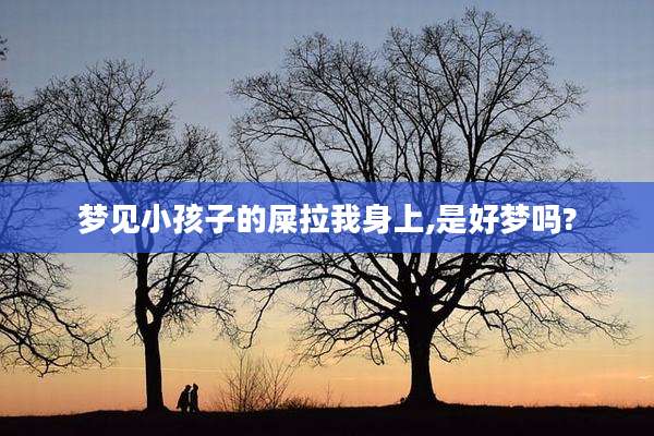 梦见小孩子的屎拉我身上,是好梦吗?