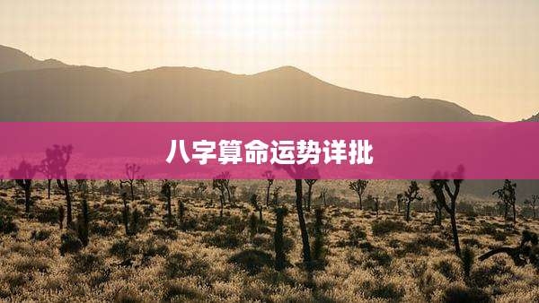八字算命运势详批