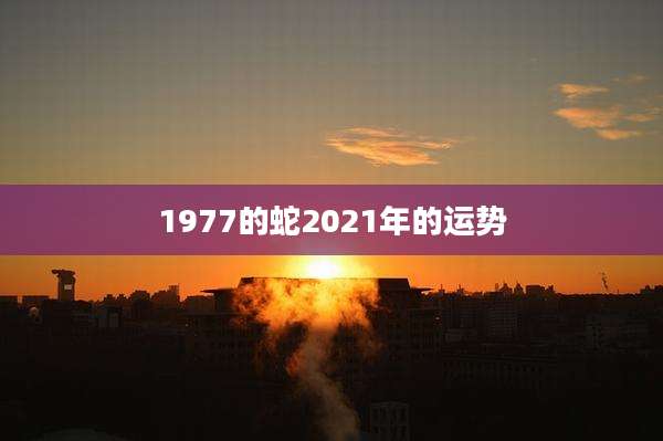 1977的蛇2021年的运势