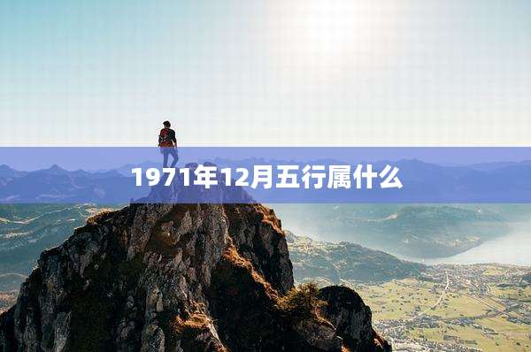1971年12月五行属什么